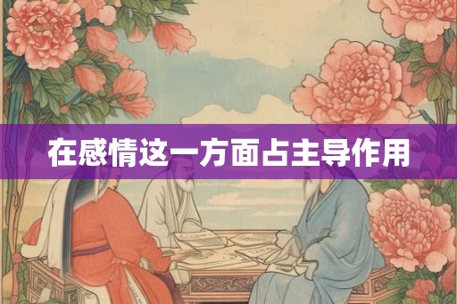 在感情这一方面占主导作用