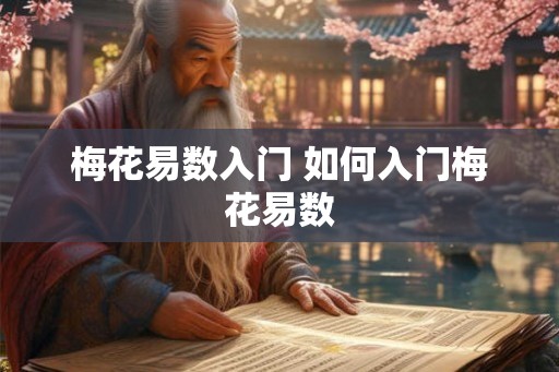 梅花易数入门 如何入门梅花易数 梅花易数入门 如何入门梅花易数