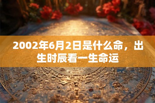 2002年6月2日是什么命，出生时辰看一生命运