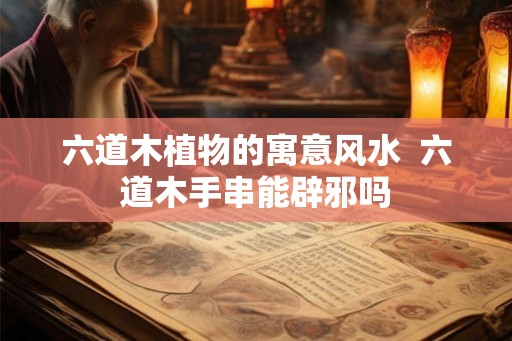六道木植物的寓意风水  六道木手串能辟邪吗