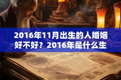 2016年11月出生的人婚姻好不好？2016年是什么生肖？