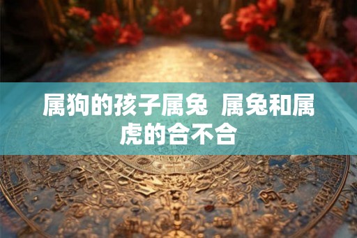 属狗的孩子属兔  属兔和属虎的合不合