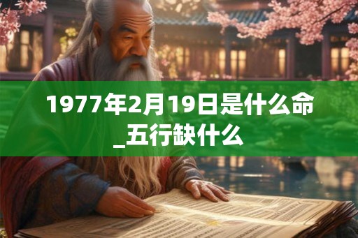 1977年2月19日是什么命_五行缺什么