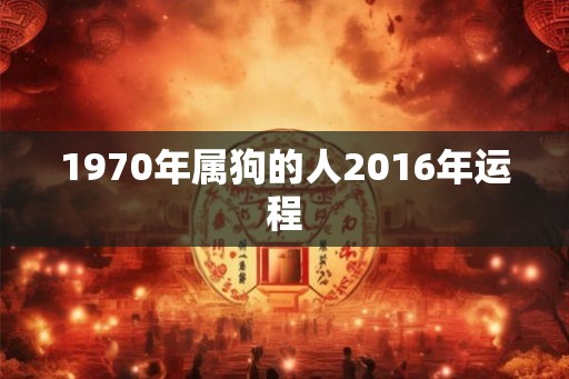 1970年属狗的人2016年运程