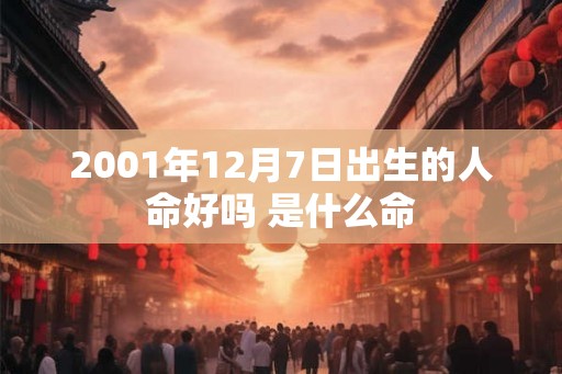 2001年12月7日出生的人命好吗 是什么命