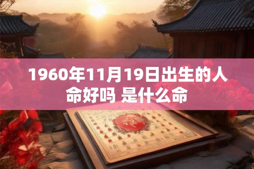 1960年11月19日出生的人命好吗 是什么命