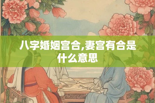 八字婚姻宫合,妻宫有合是什么意思