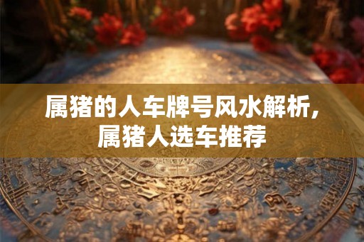 属猪的人车牌号风水解析,属猪人选车推荐
