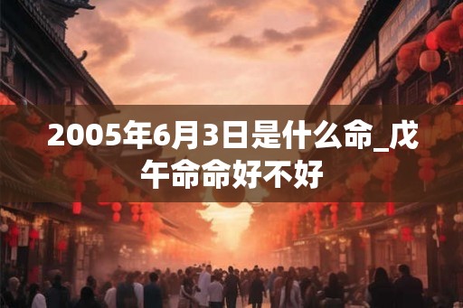 2005年6月3日是什么命_戊午命命好不好