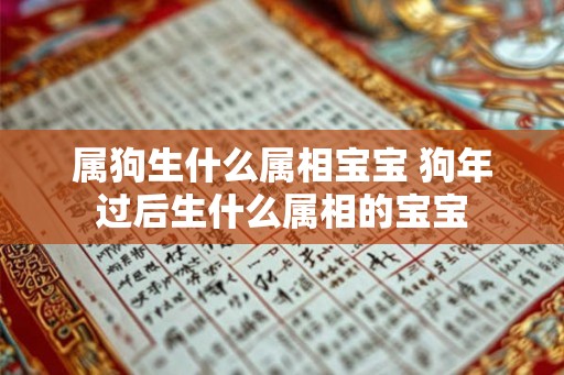 属狗生什么属相宝宝 狗年过后生什么属相的宝宝