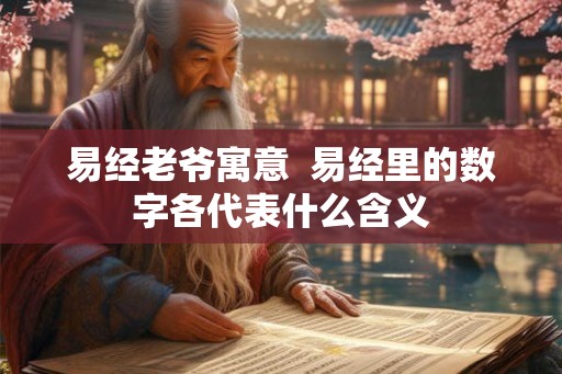 易经老爷寓意  易经里的数字各代表什么含义