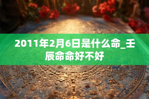 2011年2月6日是什么命_壬辰命命好不好