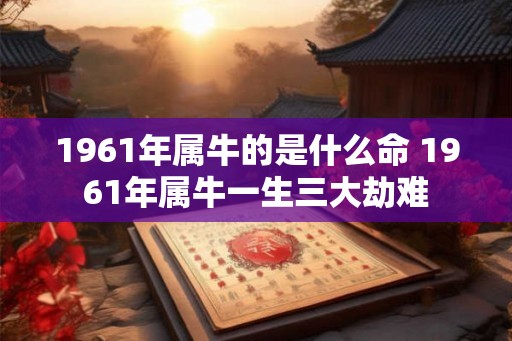 1961年属牛的是什么命 1961年属牛一生三大劫难
