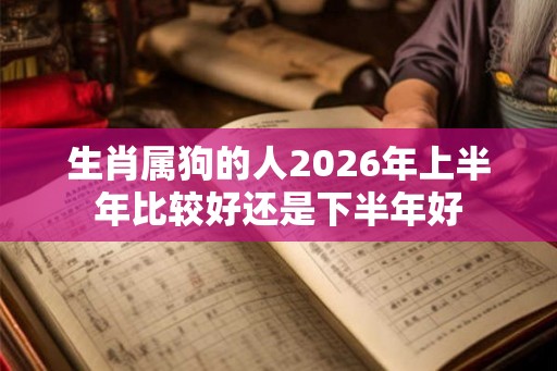 生肖属狗的人2026年上半年比较好还是下半年好 生肖属狗的人2026年上半年比较好还是下半年好