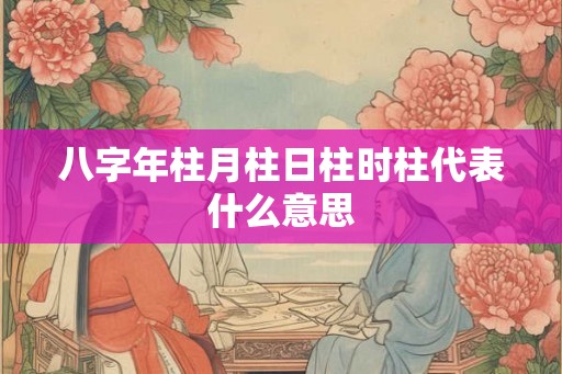 八字年柱月柱日柱时柱代表什么意思