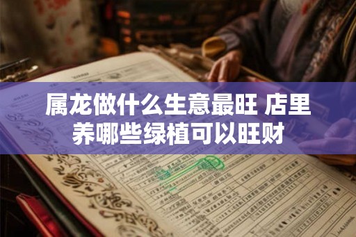 属龙做什么生意最旺 店里养哪些绿植可以旺财