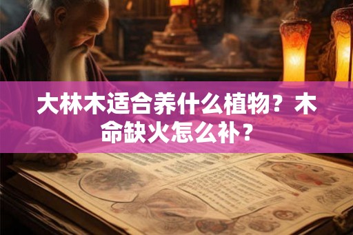 大林木适合养什么植物？木命缺火怎么补？