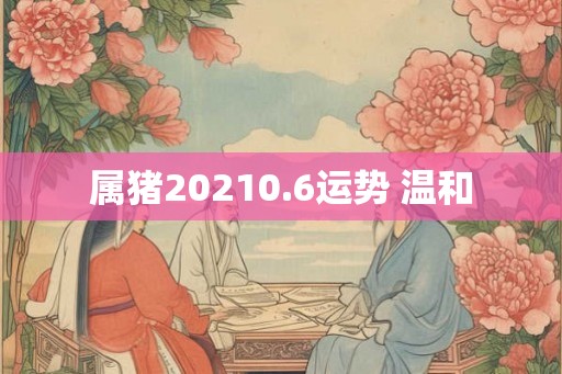 属猪20210.6运势 温和