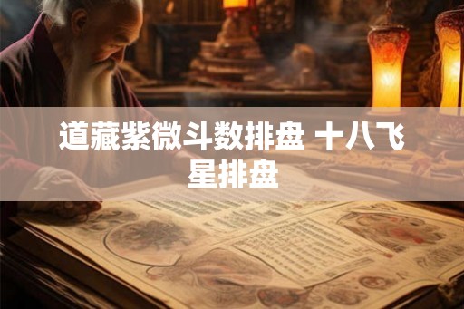 道藏紫微斗数排盘 十八飞星排盘