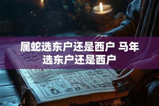 属蛇选东户还是西户 马年选东户还是西户 属蛇选东户还是西户 马年选东户还是西户