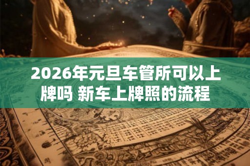 2026年元旦车管所可以上牌吗 新车上牌照的流程