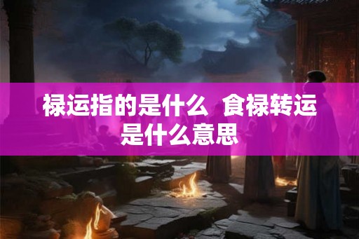 禄运指的是什么  食禄转运是什么意思