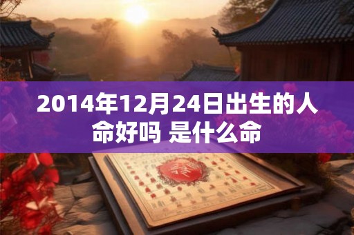 2014年12月24日出生的人命好吗 是什么命