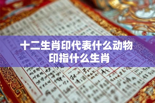 十二生肖印代表什么动物  印指什么生肖