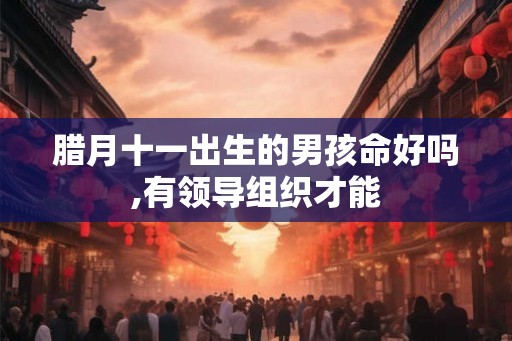 腊月十一出生的男孩命好吗,有领导组织才能