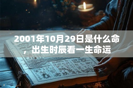 2001年10月29日是什么命，出生时辰看一生命运