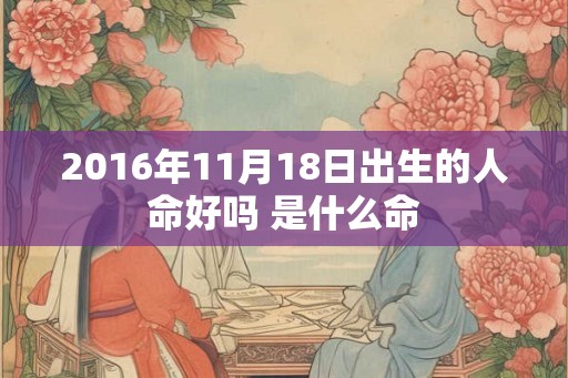 2016年11月18日出生的人命好吗 是什么命