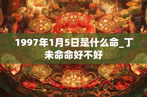 1997年1月5日是什么命_丁未命命好不好