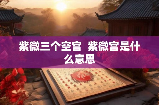 紫微三个空宫  紫微宫是什么意思