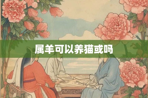属羊可以养猫或吗
