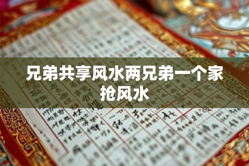 兄弟共享风水两兄弟一个家抢风水