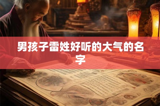 男孩子雷姓好听的大气的名字