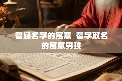 智涵名字的寓意  智字取名的寓意男孩