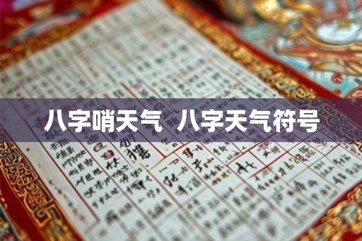 八字哨天气  八字天气符号