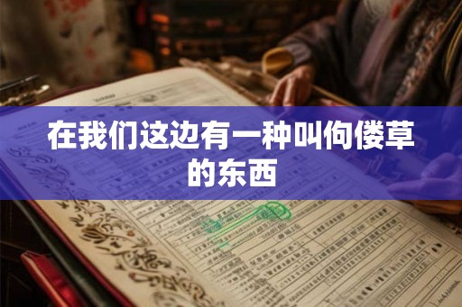 在我们这边有一种叫佝偻草的东西
