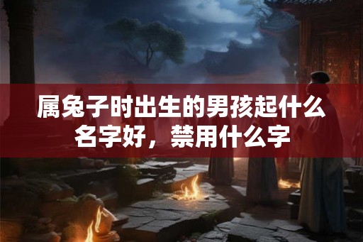 属兔子时出生的男孩起什么名字好，禁用什么字