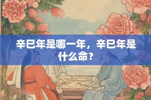 辛巳年是哪一年，辛巳年是什么命？