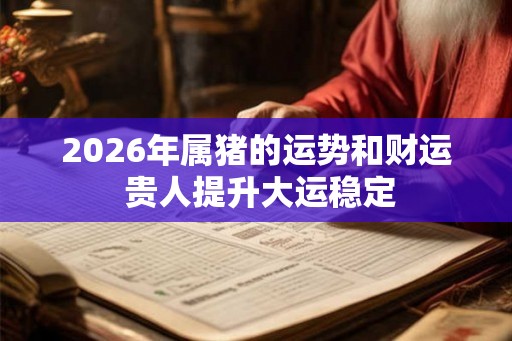 2026年属猪的运势和财运 贵人提升大运稳定