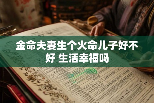 金命夫妻生个火命儿子好不好 生活幸福吗