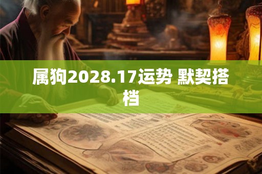 属狗2028.17运势 默契搭档
