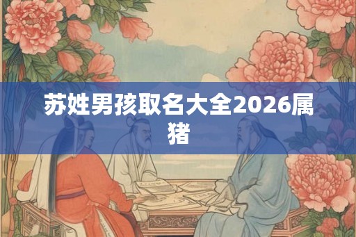 苏姓男孩取名大全2026属猪 苏姓男孩取名大全2026属猪