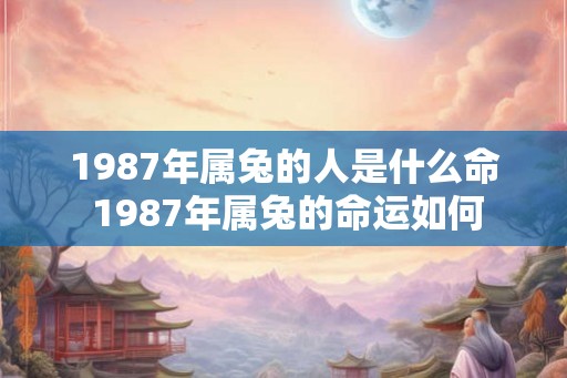 1987年属兔的人是什么命 1987年属兔的命运如何 1987年属兔的人是什么命 1987年属兔的命运如何