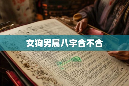 女狗男属八字合不合