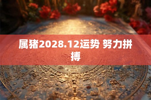 属猪2028.12运势 努力拼搏
