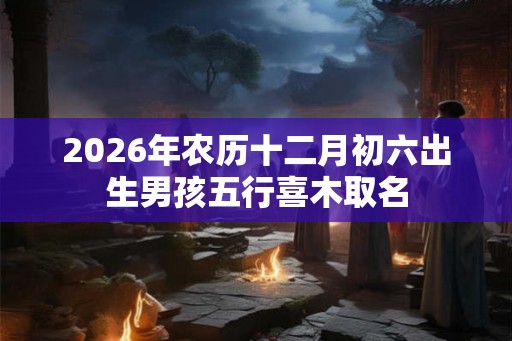 2026年农历十二月初六出生男孩五行喜木取名