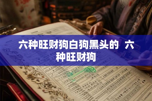六种旺财狗白狗黑头的  六种旺财狗